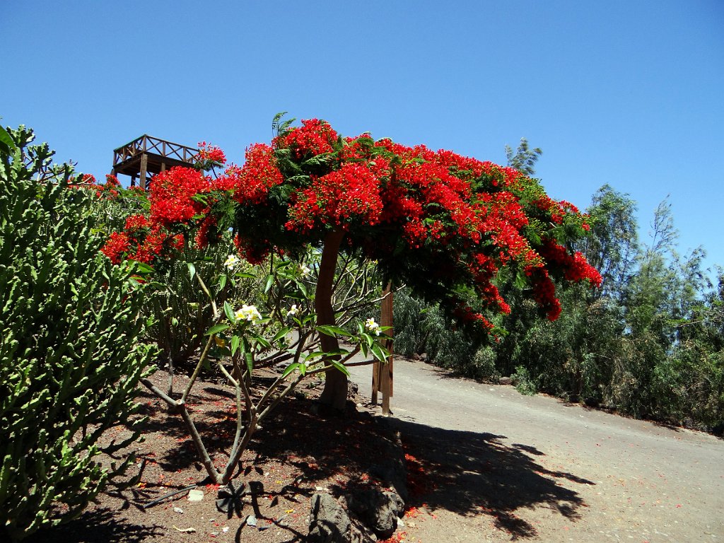 23 Lajita - Giardino botanico.JPG